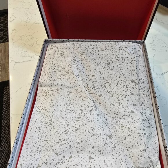 Nike Air Jordan 4 Retro OG White Cement 2025 FV5029-100 Men’s Size 10 Brand New - Picture 11 of 13